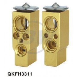 QKFH3311 RENAULT CLİO EXPASİON